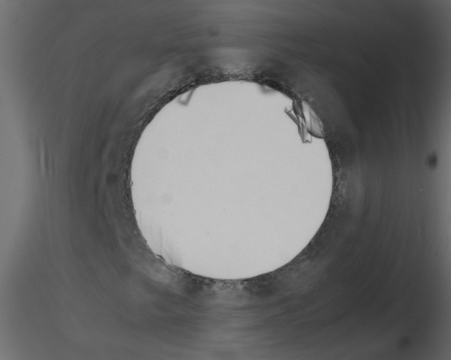 X0000115661249200912241351