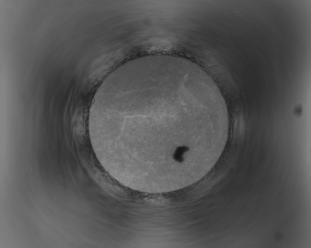 X0000115661250200912241351