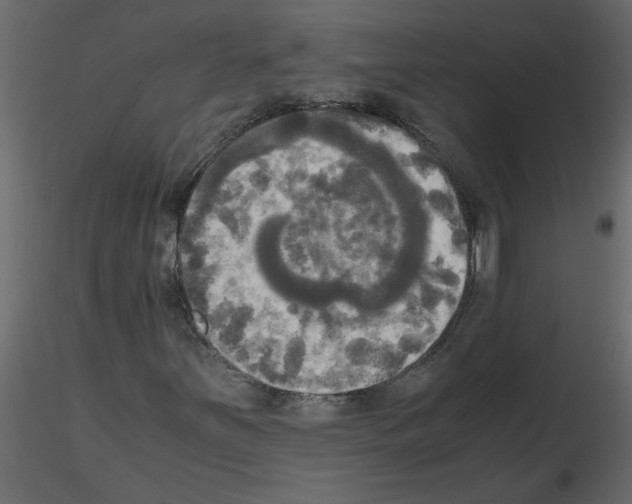 X0000115661251200912241351