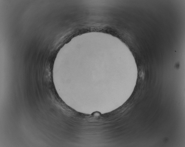 X0000115661252200912241351