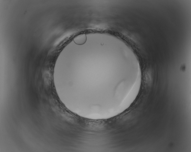 X0000115661254200912241351