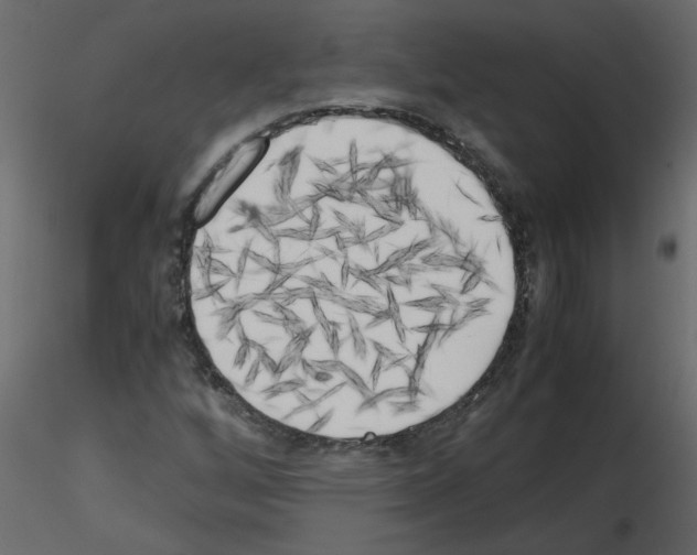 X0000115661256200912241351