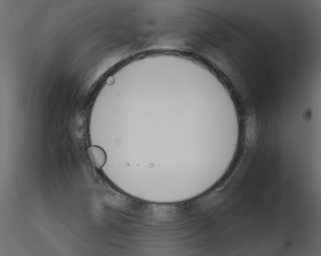 X0000115661258200912241351