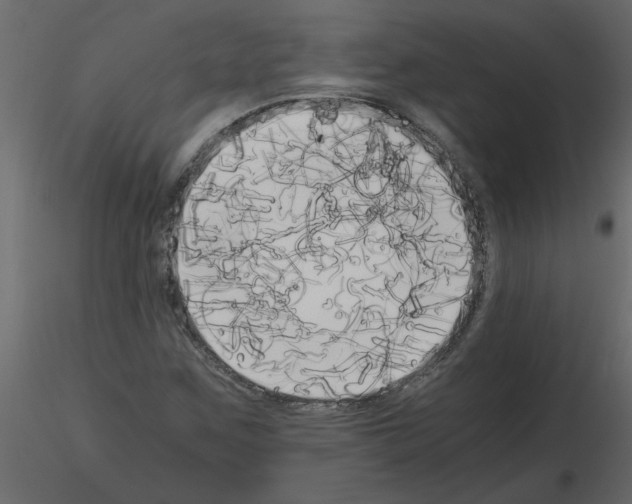 X0000115661259200912241351