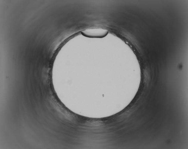 X0000115661260200912241351