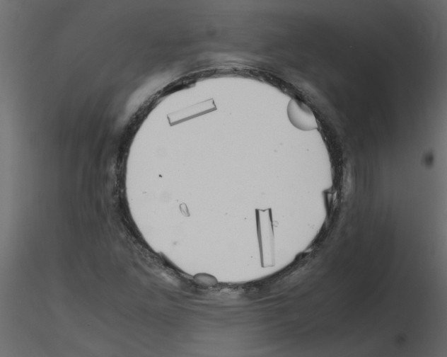 X0000115661261200912241351