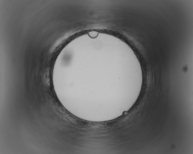 X0000115661262200912241351