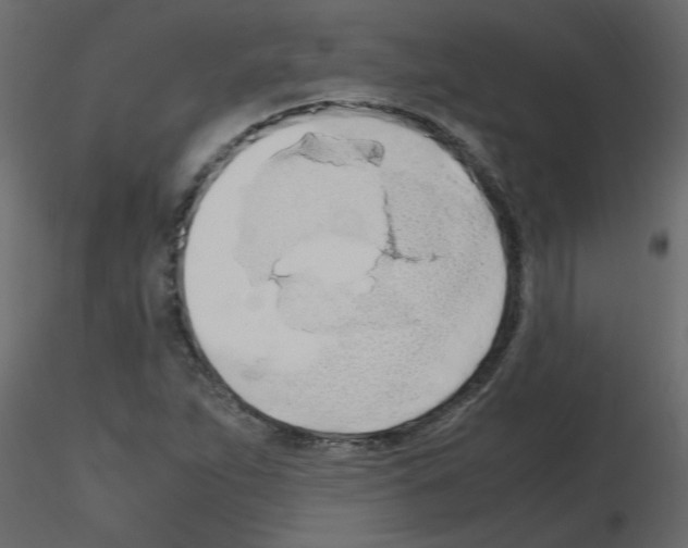 X0000115661263200912241351