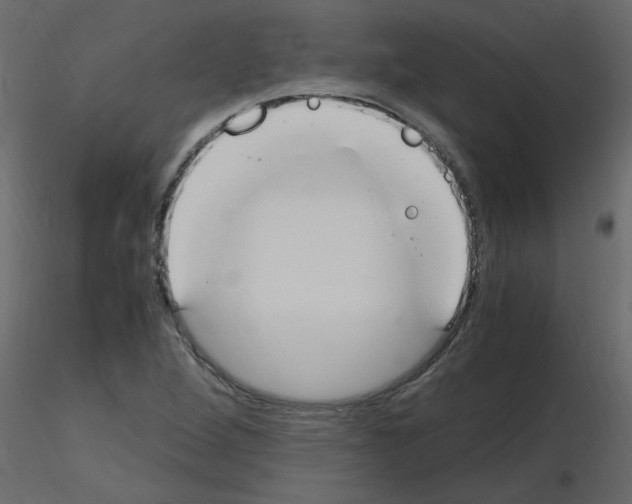 X0000115661264200912241351