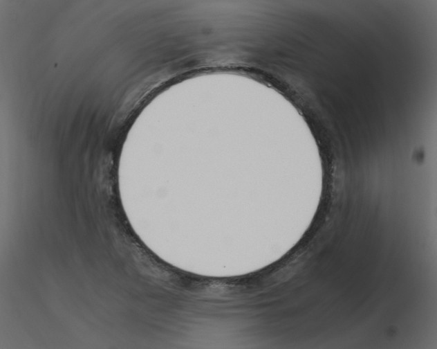 X0000115661265200912241351