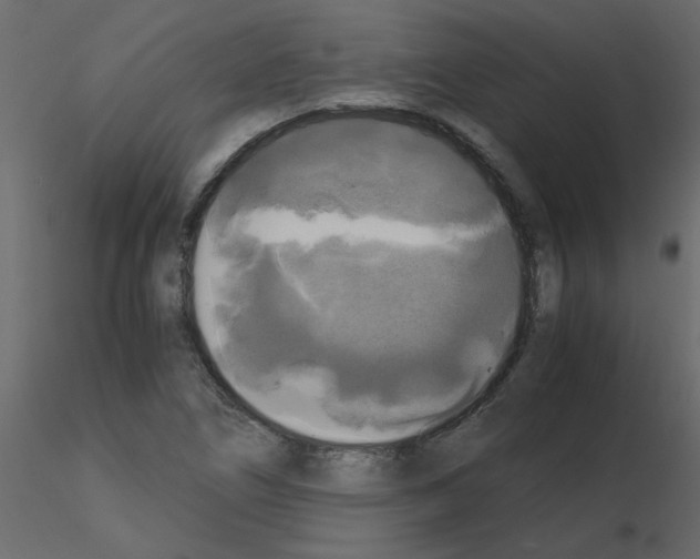 X0000115661266200912241351