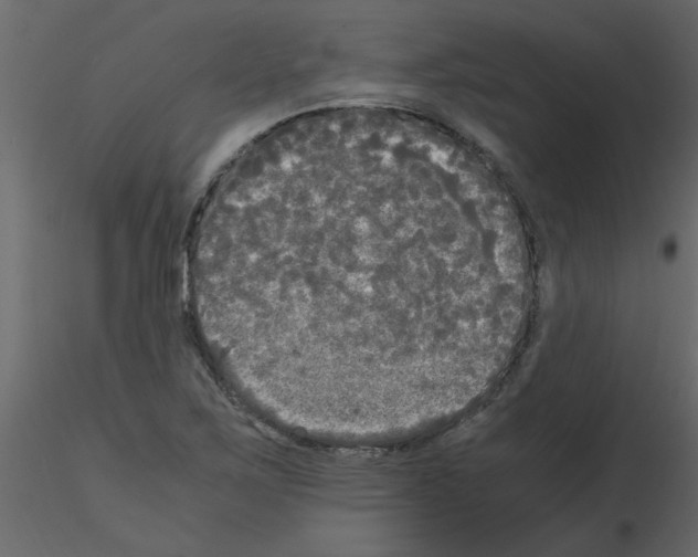 X0000115661267200912241351