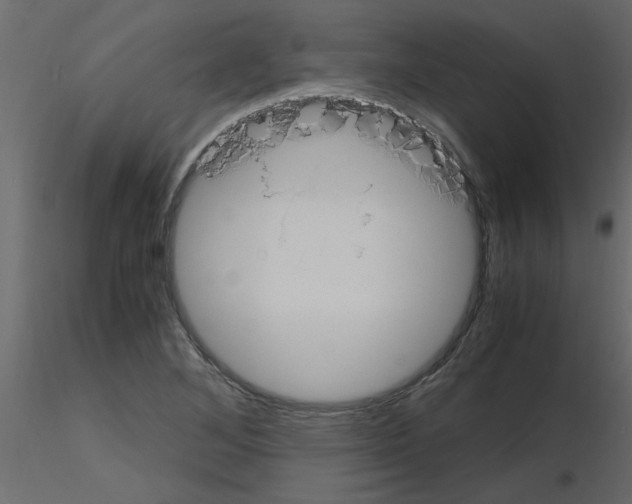 X0000115661268200912241351