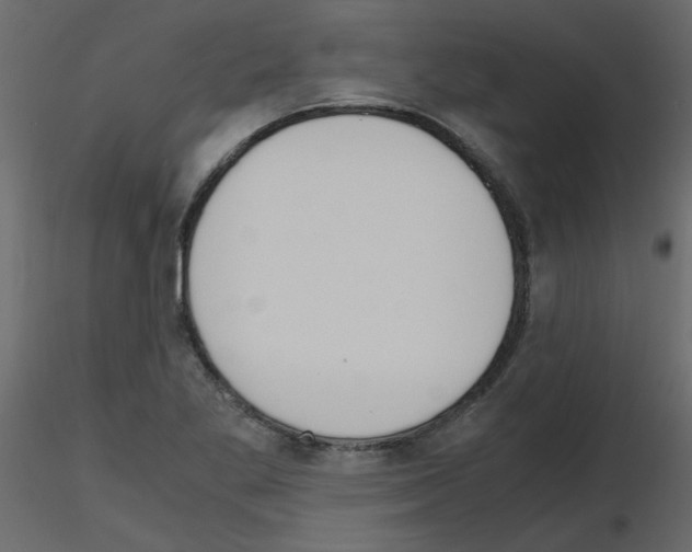 X0000115661269200912241351