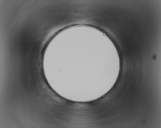 X0000115661270200912241351