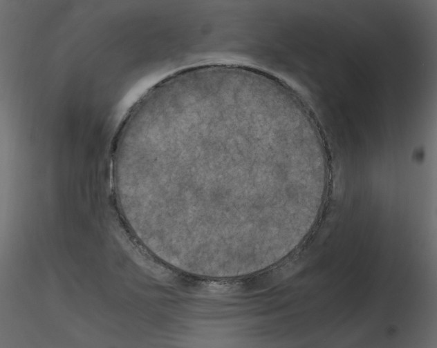 X0000115661271200912241351