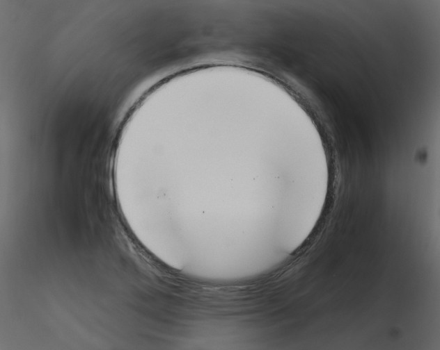 X0000115661272200912241351