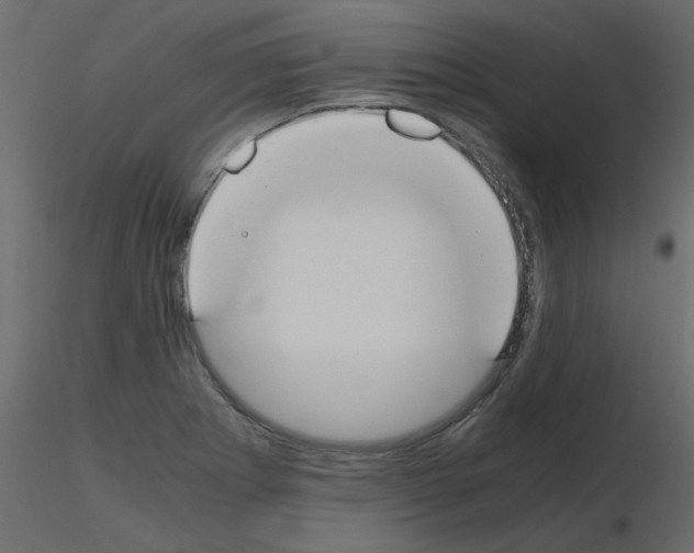 X0000115661273200912241351