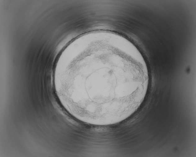 X0000115661274200912241351