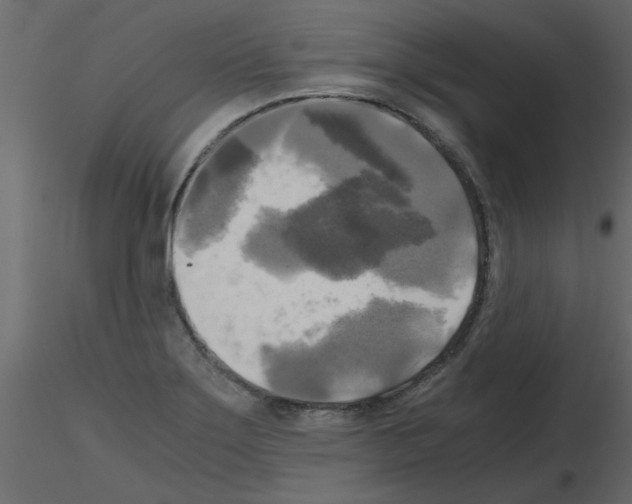 X0000115661275200912241351