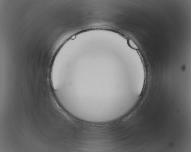 X0000115661277200912241351