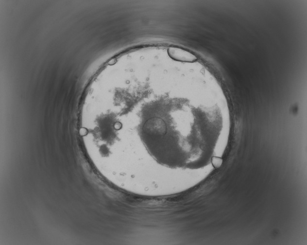 X0000115661279200912241351