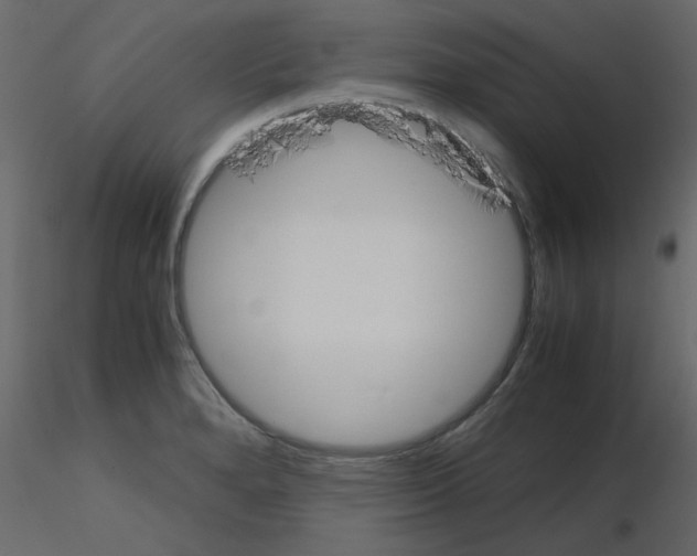 X0000115661280200912241351