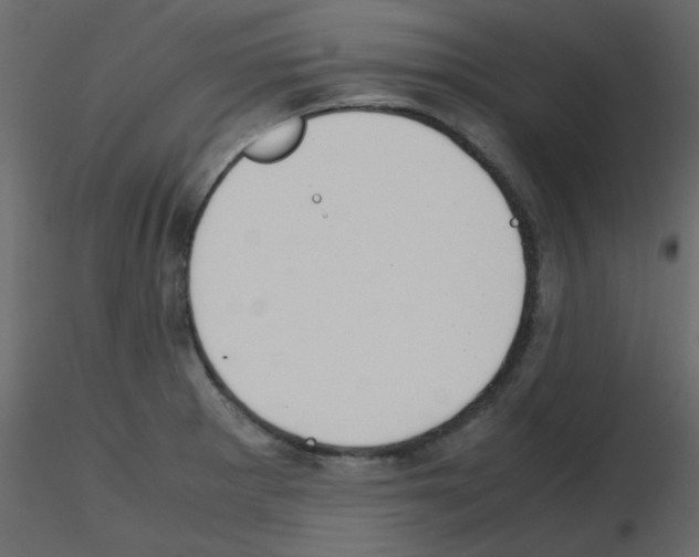 X0000115661281200912241351