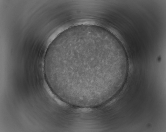 X0000115661282200912241351