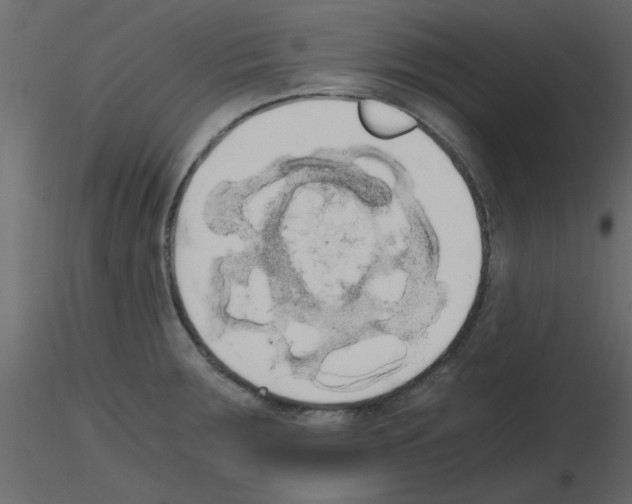 X0000115661283200912241351