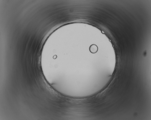 X0000115661284200912241351