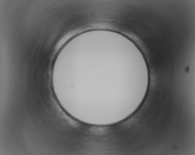 X0000115661286200912241351