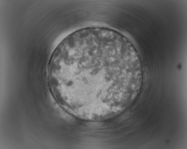 X0000115661287200912241351