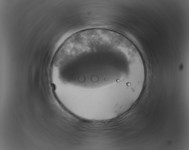 X0000115661291200912241351