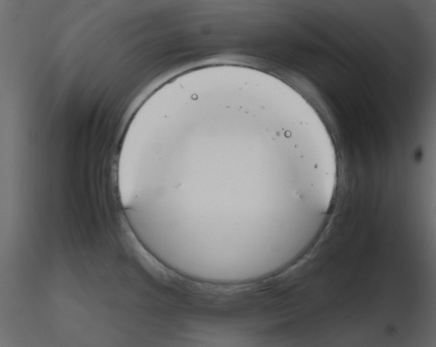 X0000115661292200912241351