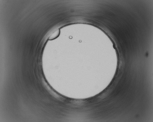 X0000115661293200912241351