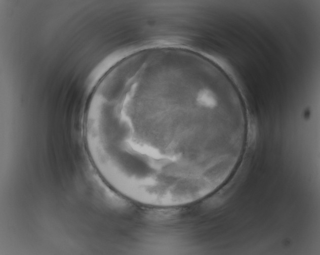 X0000115661294200912241351