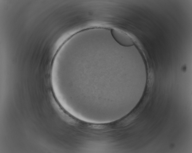 X0000115661295200912241351