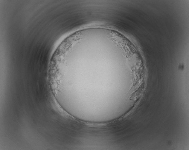 X0000115661296200912241351