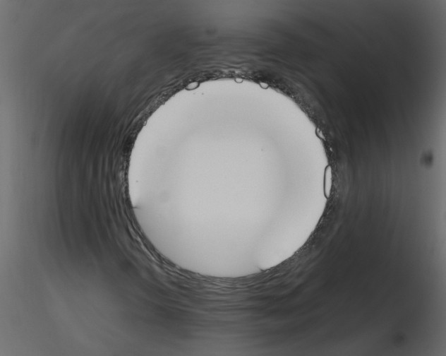 X0000115661298200912241350