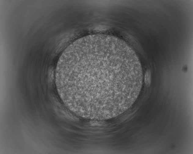 X0000115661299200912241350