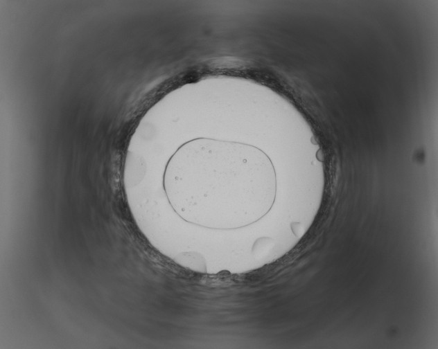 X0000115661301200912241350