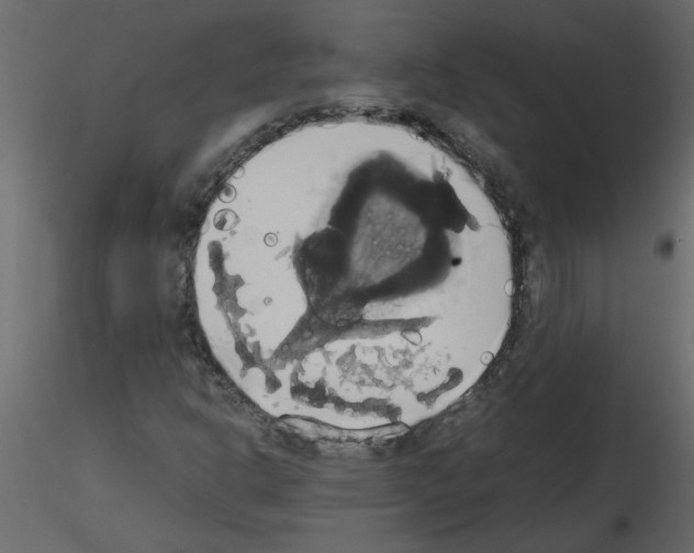 X0000115661302200912241350