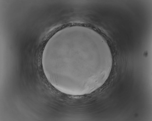 X0000115661303200912241350