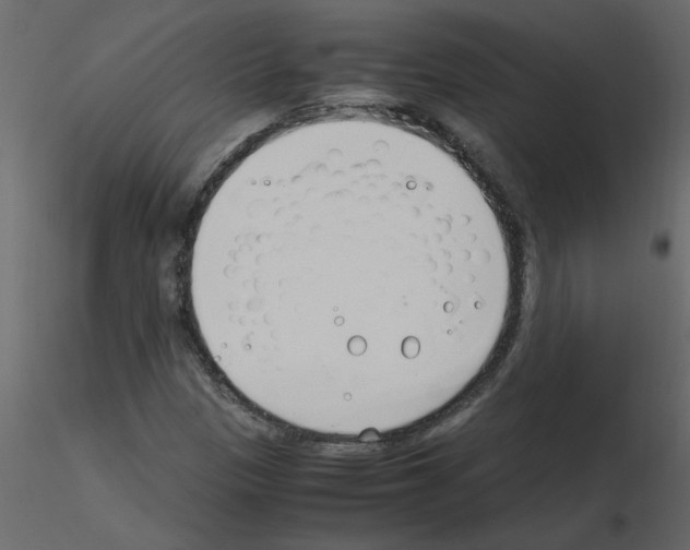 X0000115661305200912241350