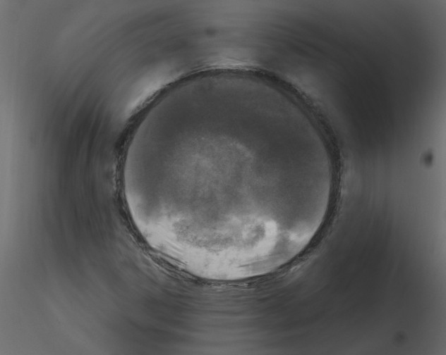 X0000115661306200912241350