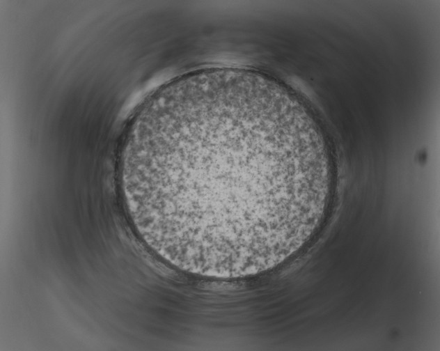 X0000115661307200912241350