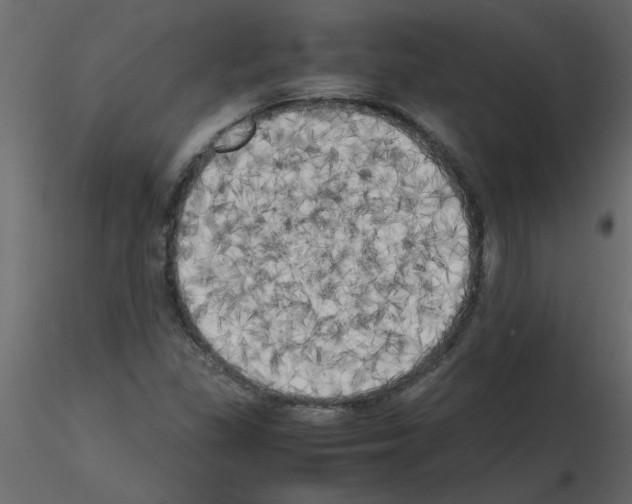 X0000115661309200912241350