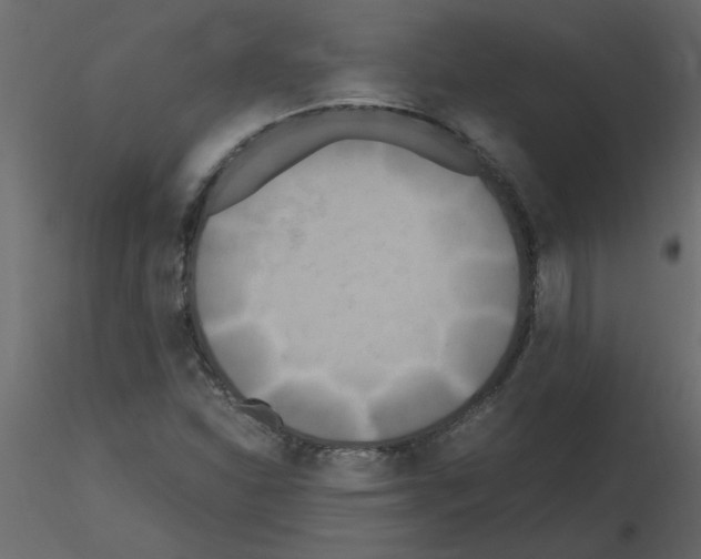 X0000115661310200912241350