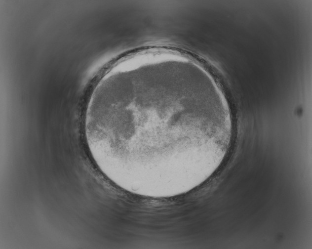 X0000115661311200912241350